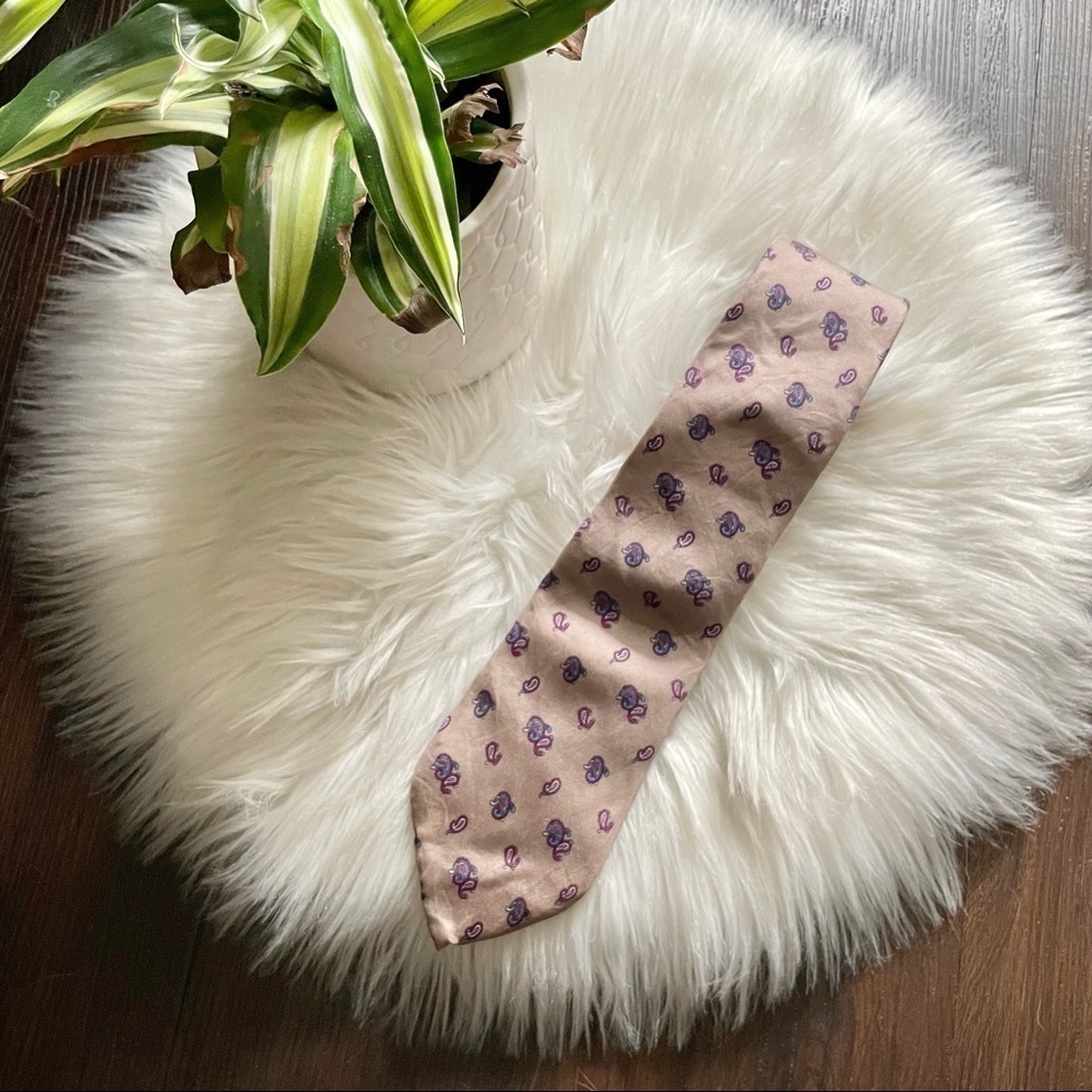 Christian Dior Paisley Men's Neck Tie